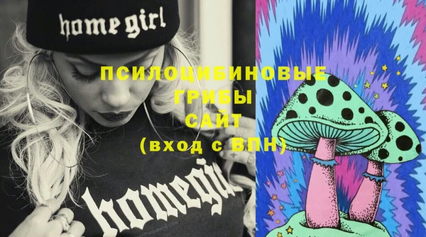 гашиш Богданович
